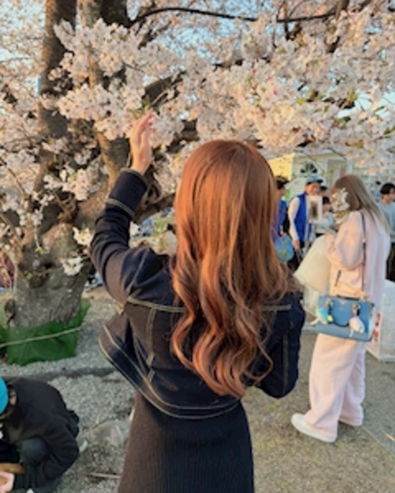 ふうか