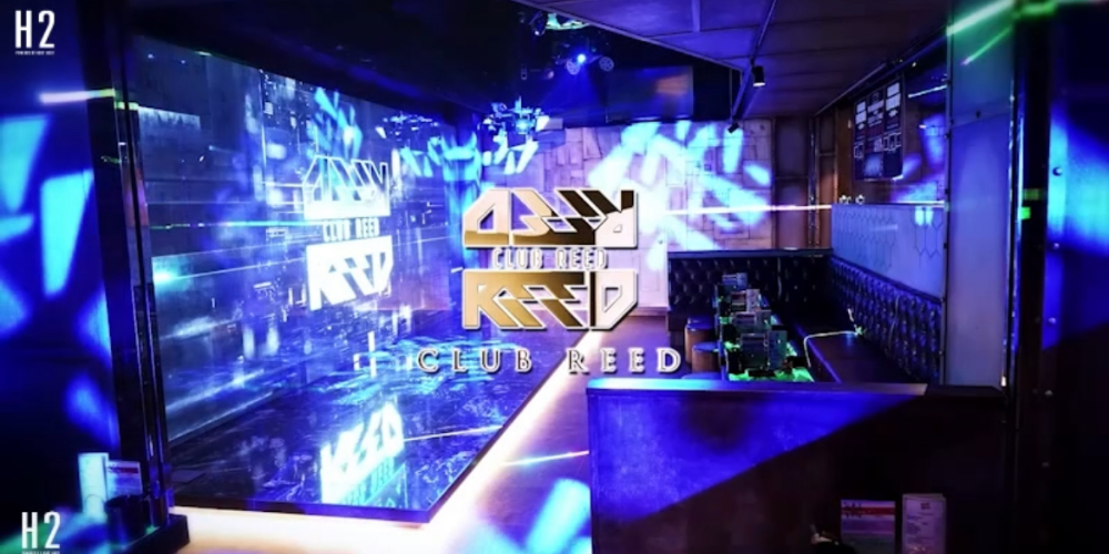 リード
